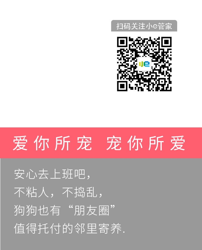 Qrcard 4